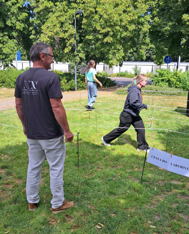Festival „Zlín Žije“