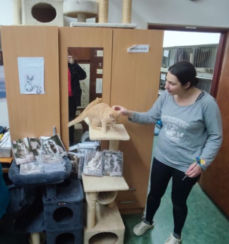Předání vyrobených zápisníků kočičímu útulku