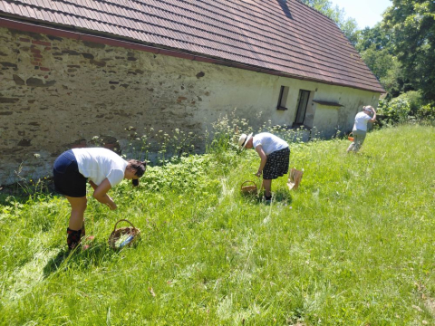 Bylinkový víkend – léčení s Panakeiou na Horní Světlé 