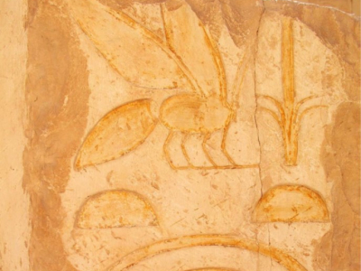 Včely v mýtech a legendách